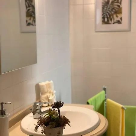 Apartament Casas Lr *